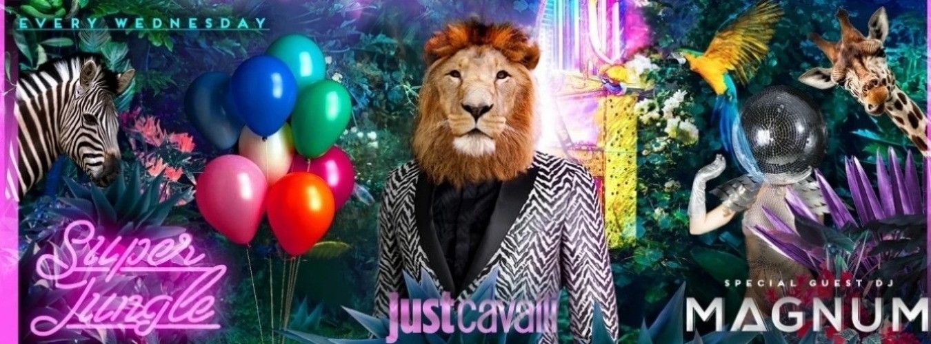 SUPER JUNGLE - WEDNESDAY NIGHT