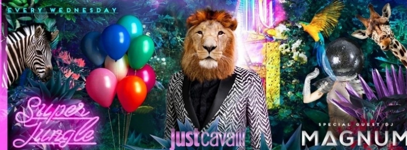 SUPER JUNGLE - WEDNESDAY NIGHT