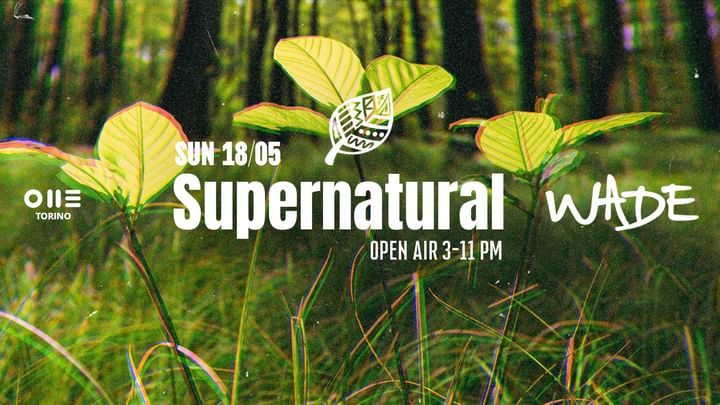 Cover for event: SUPERNATURAL DAYTIME PARTY w/ Wade