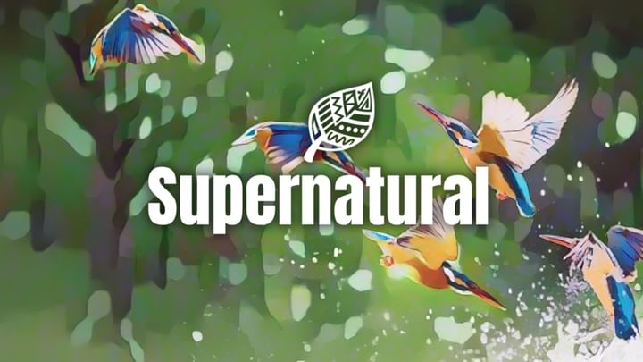 Cover for event: SUPERNATURAL DAYTIME PARTY w/ Wade