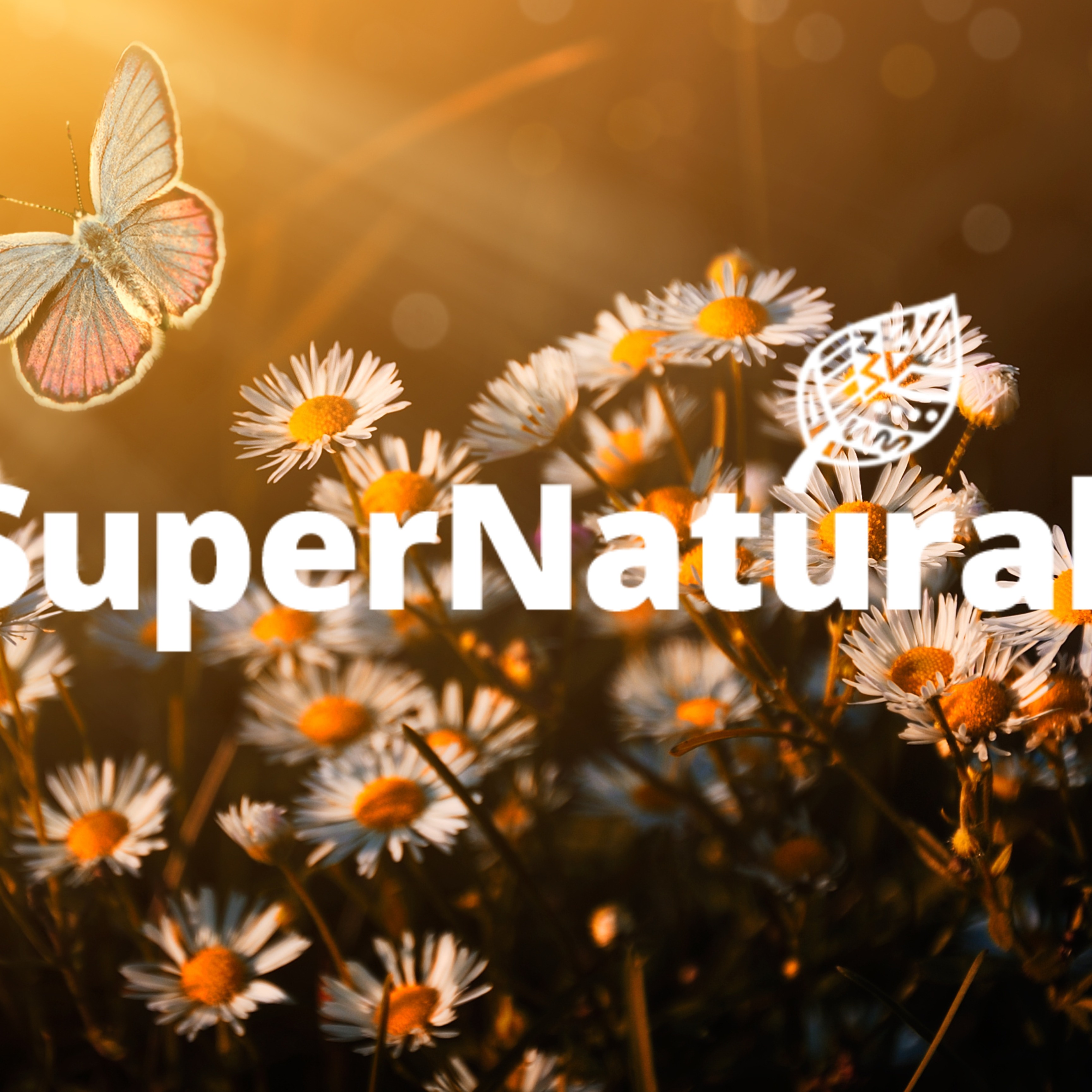 PATRICK TOPPING for SUPERNATURAL Easter Party image