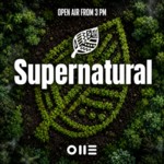 SUPERNATURAL w/ FLEUR SHORE - Daytime Party image
