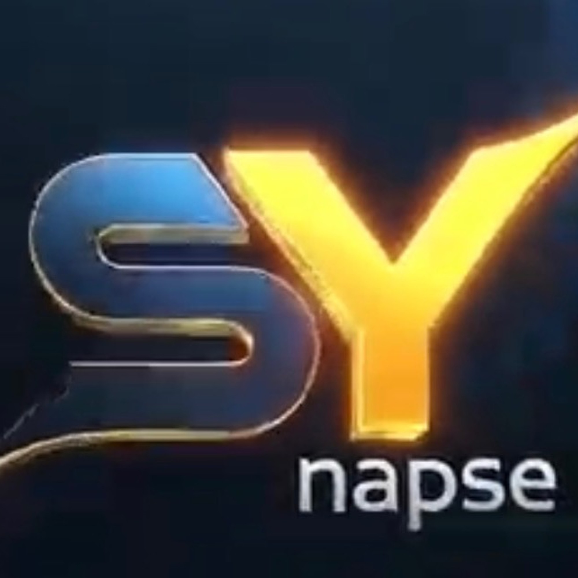 SYNAPSE image