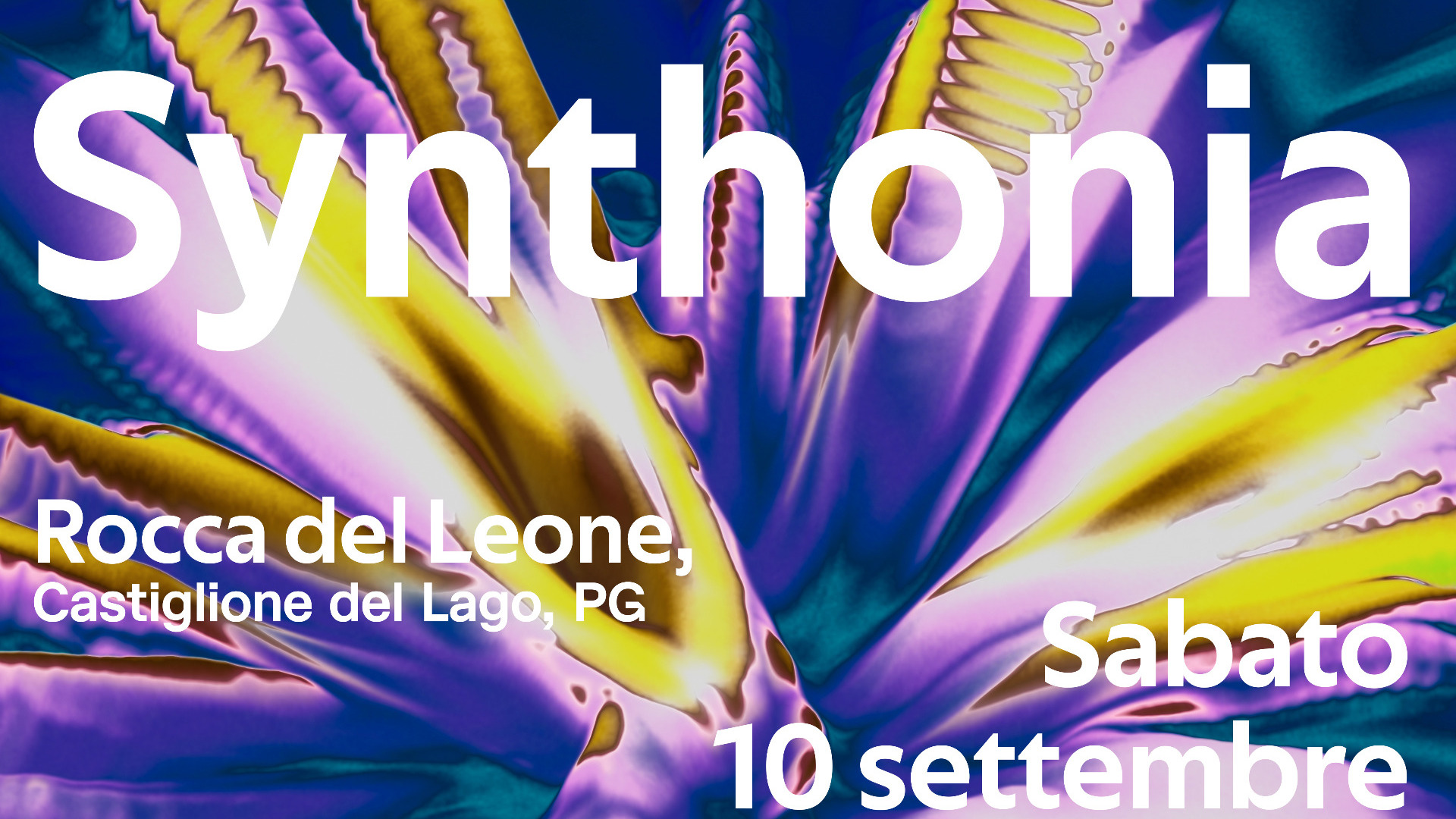 SYNTHONIA - Rocca del Leone image