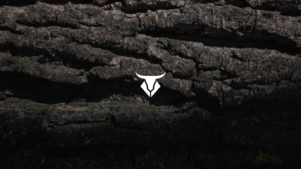 TECHNOBULL: Aberra + Dead Man's Tale at Astoria  image