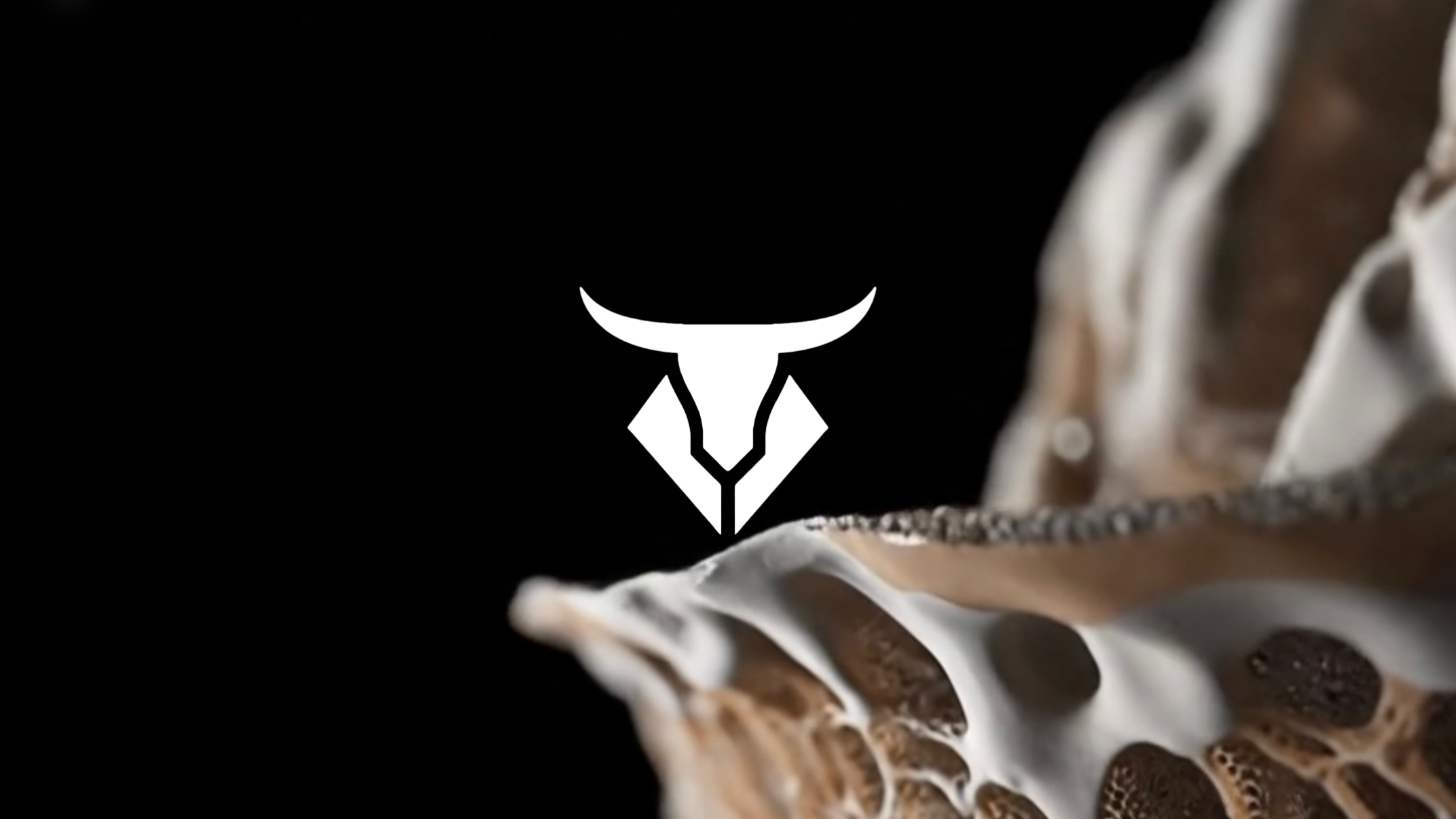 TECHNOBULL: Kessa + Redrob at Astoria Basement  image