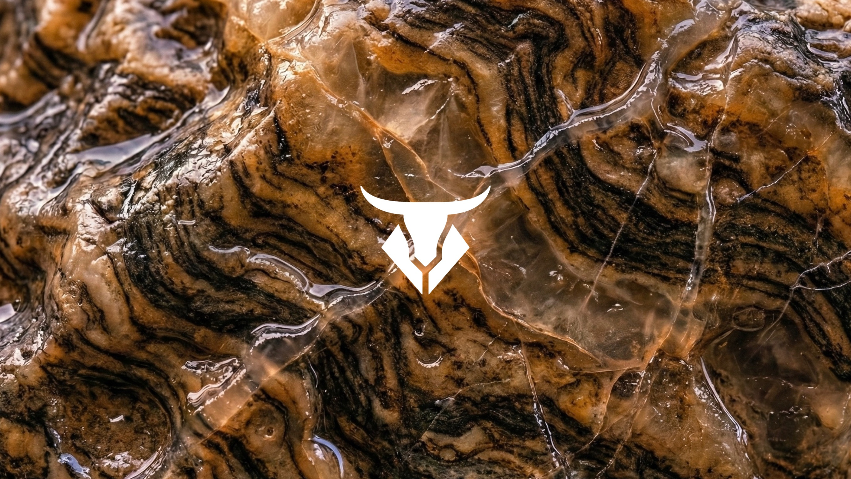 TECHNOBULL: Kessa + Redrob at Astoria Basement  image