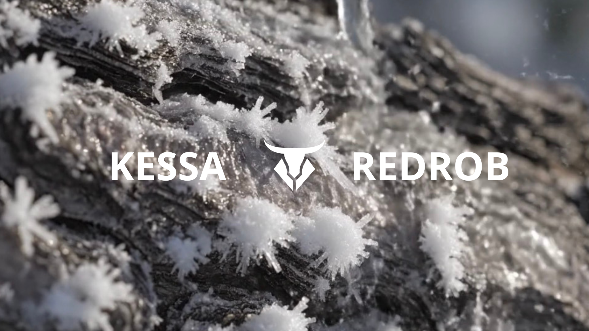 TECHNOBULL: Kessa + Redrob at Astoria Basement  image