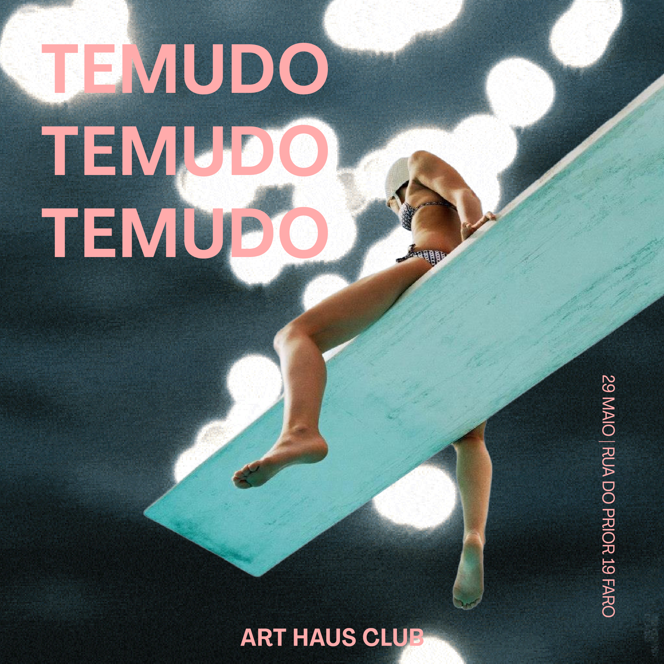 Temudo | Art Haus Club image