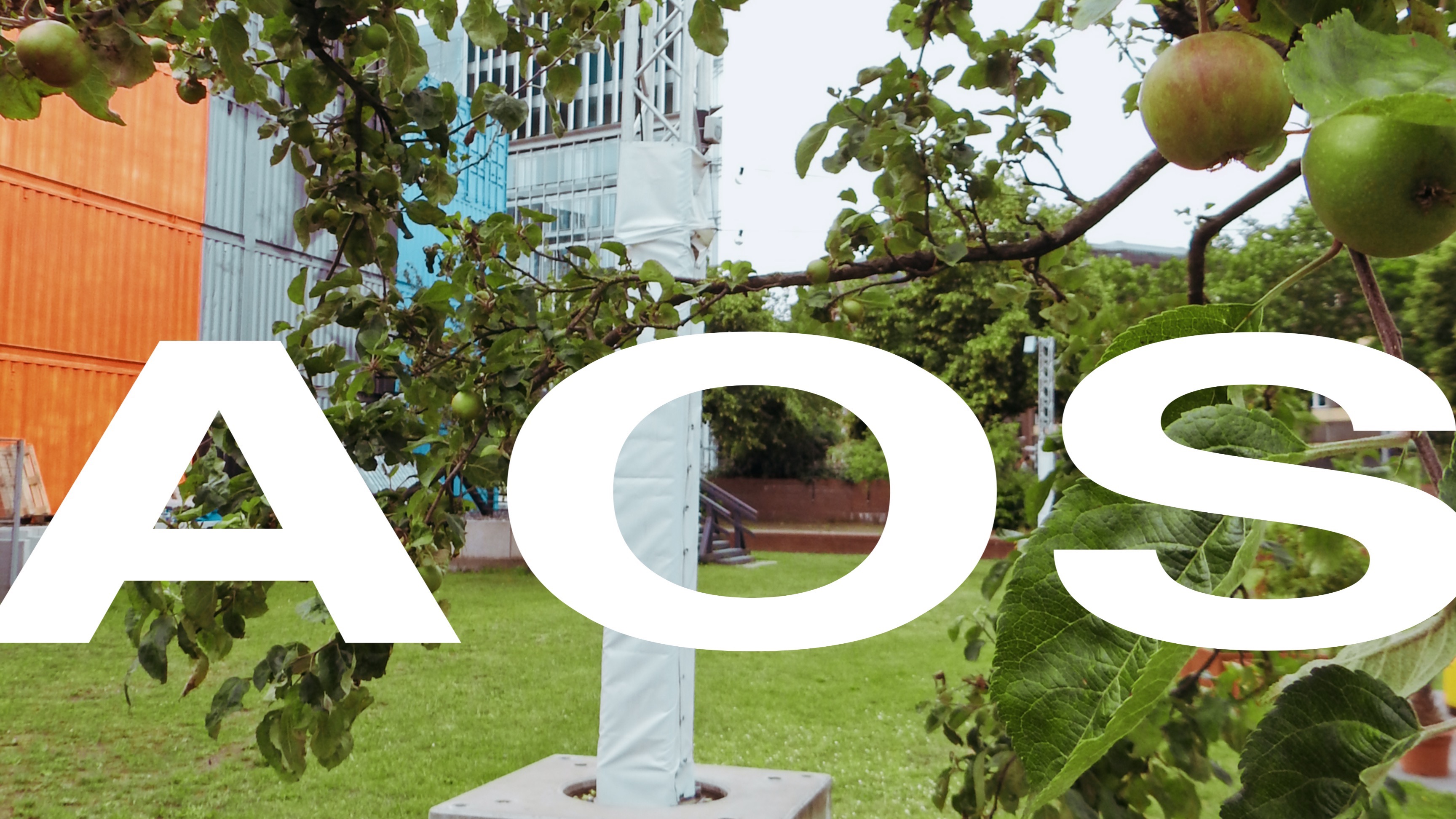 THE AOS FESTIVAL  image