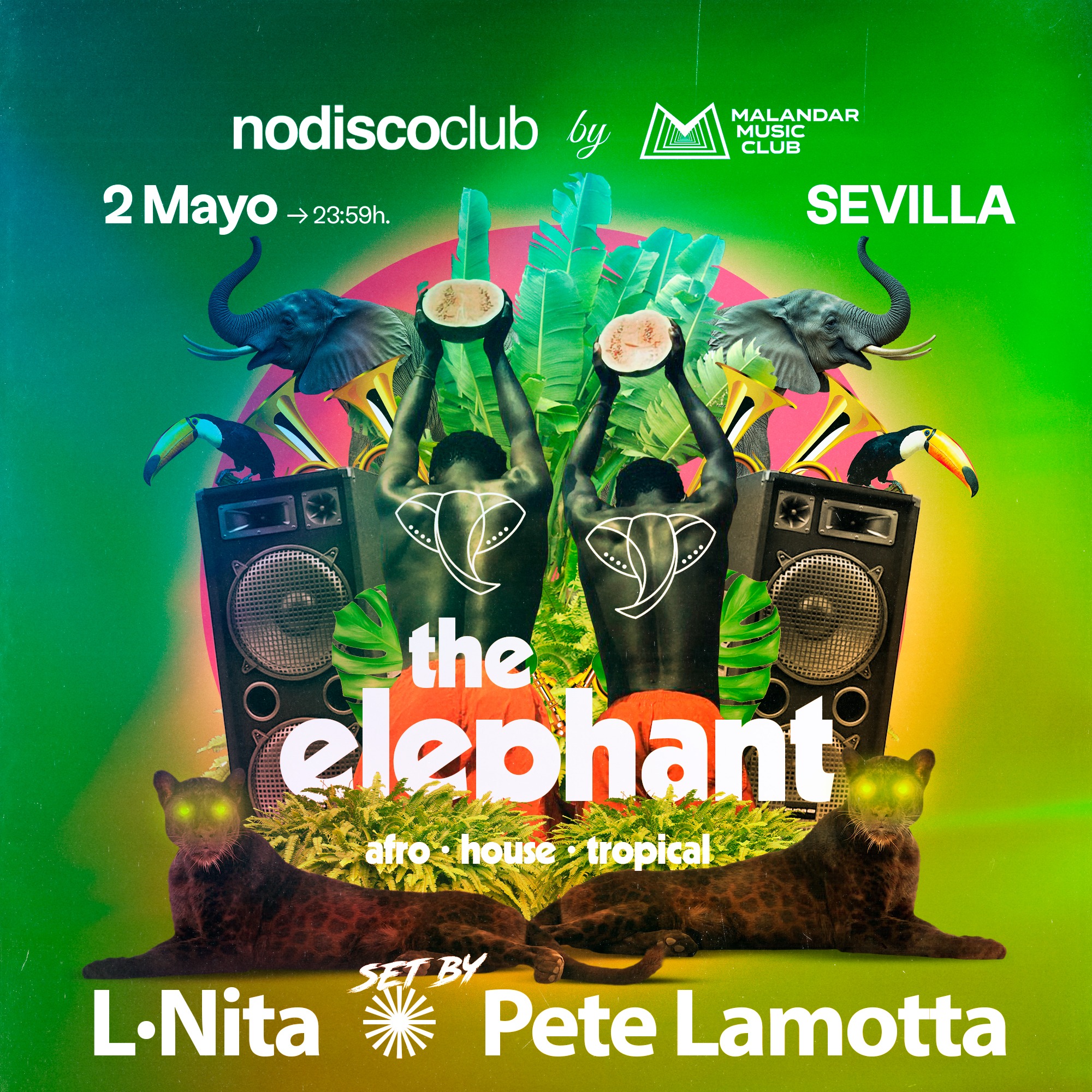 The Elephant CLUB image