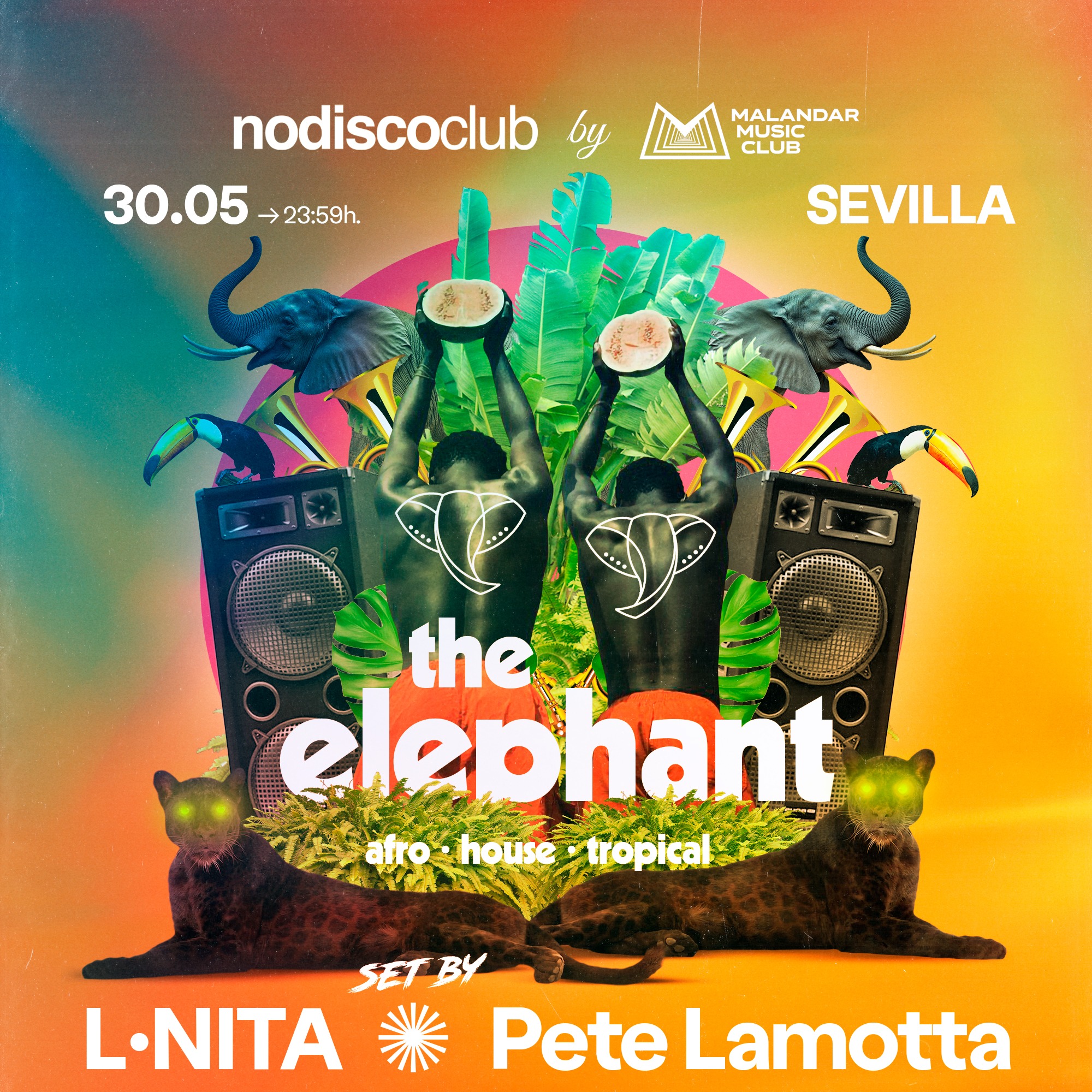 The Elephant CLUB image