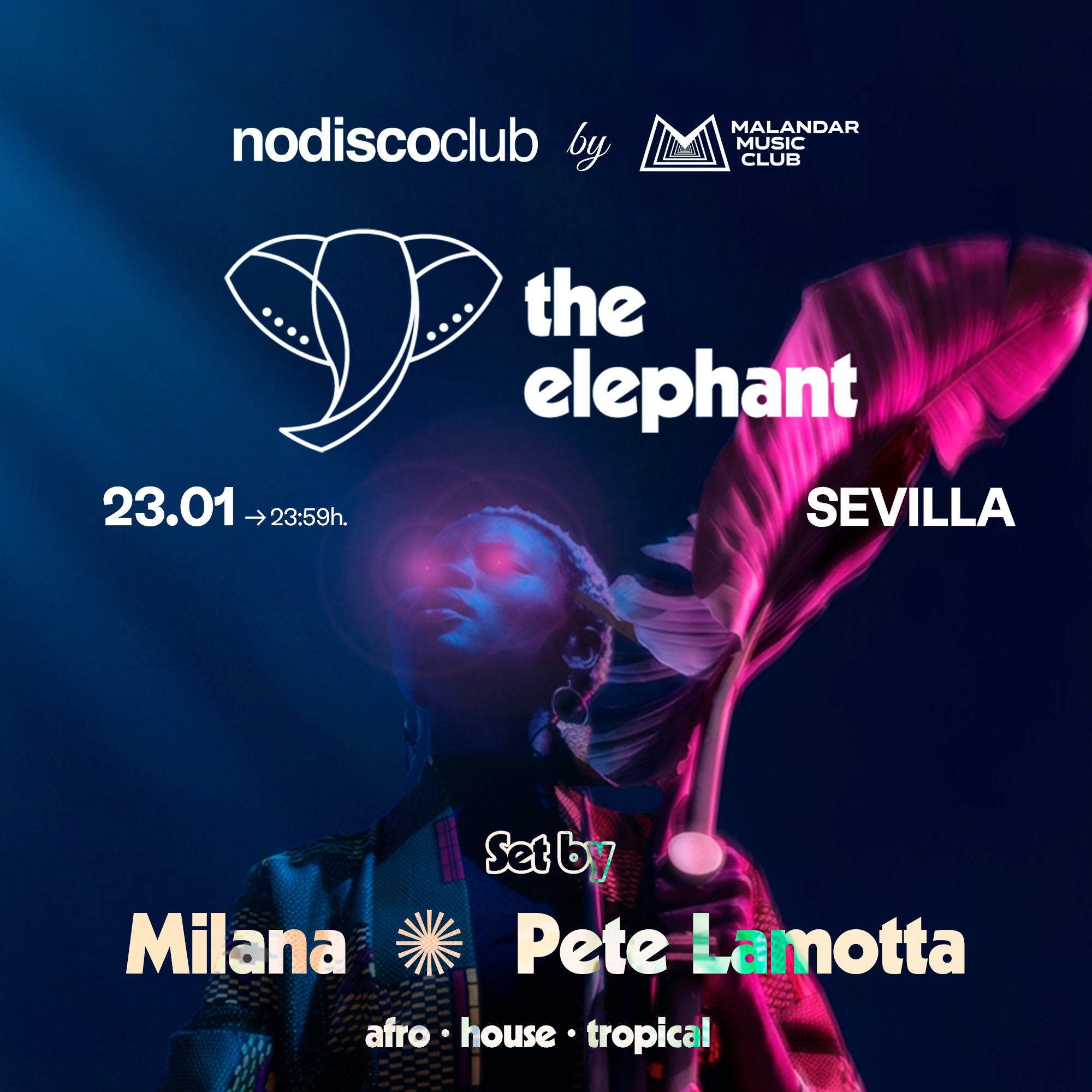 The Elephant CLUB image