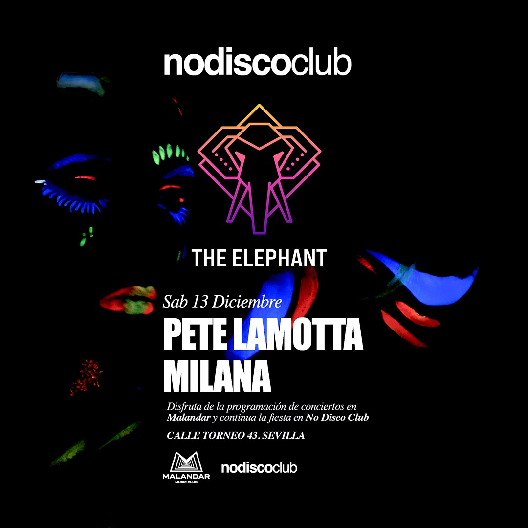 The Elephant | No Disco Club image