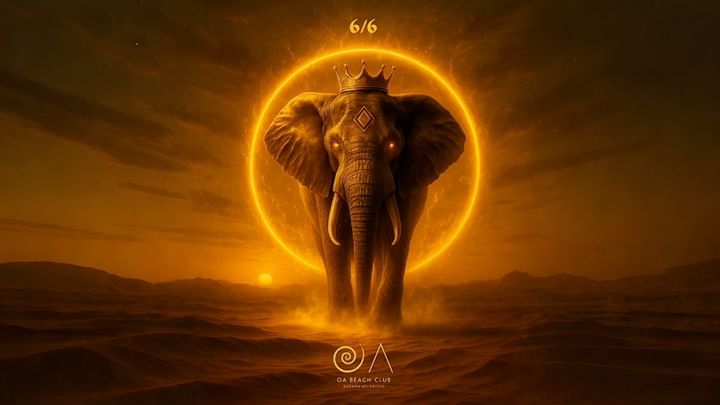 Cover for event: The Sunset of Elefantum V