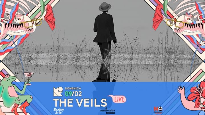 Cover for event: THE VEILS