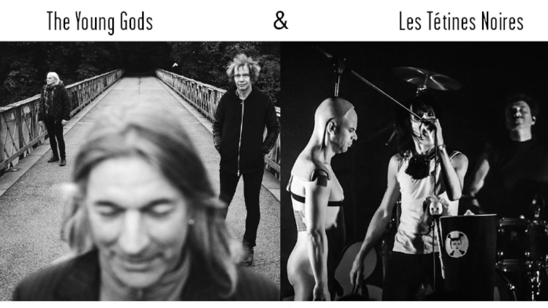 The Young Gods & Les Tétines Noires image