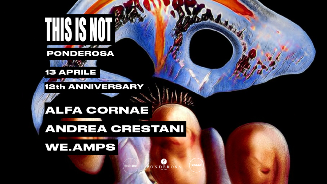 This is not 12th anniversary