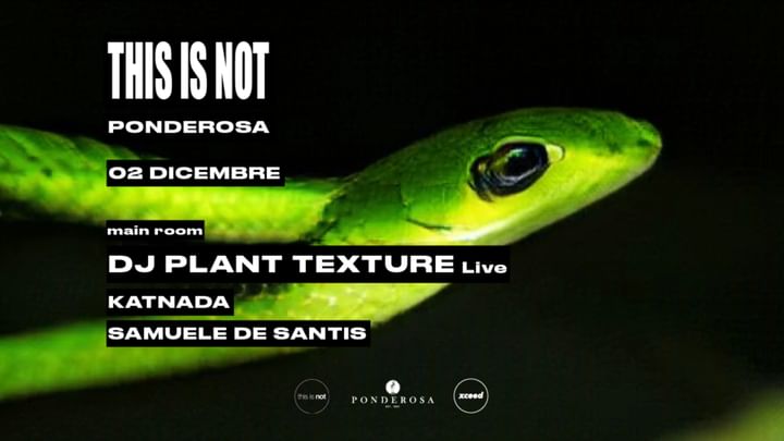 Cover for event: This is not w/ DJ PLANT TEXTURE and Katnada