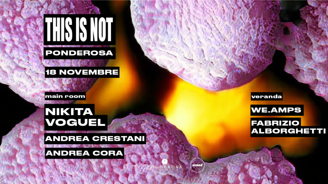 This is not w/ Nikita Voguel image