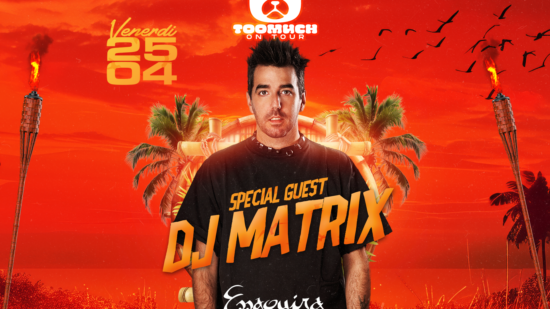 Too Much w/ ᴰᴶ Matrix image