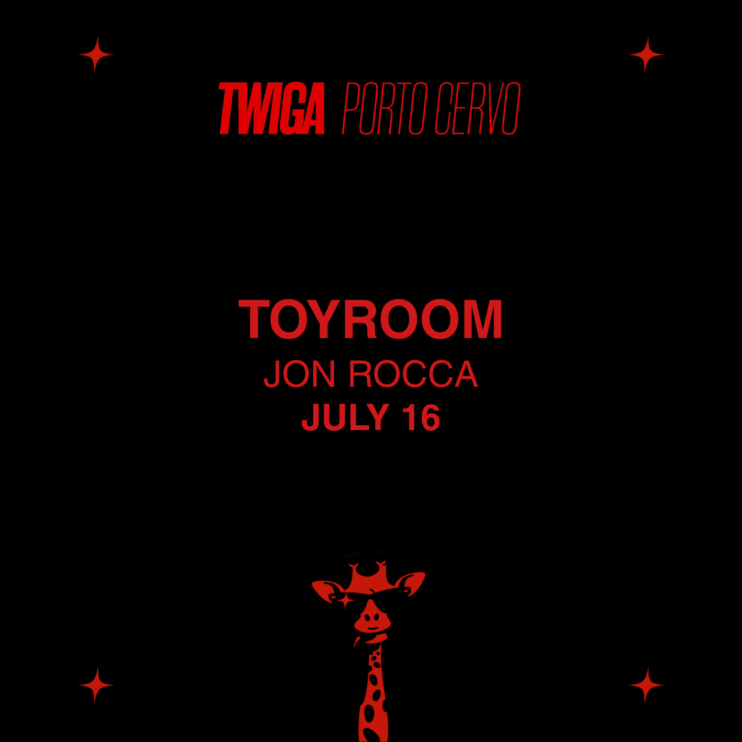 TOYROOM - JON ROCCA image