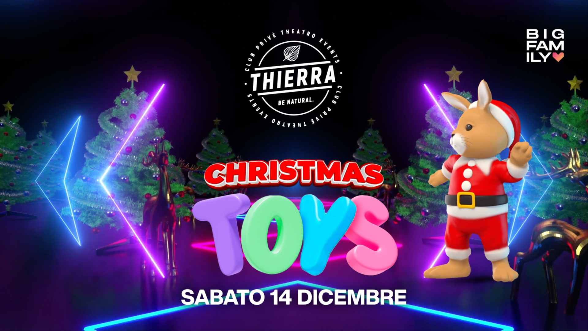TOYS - SAB 14 DIC