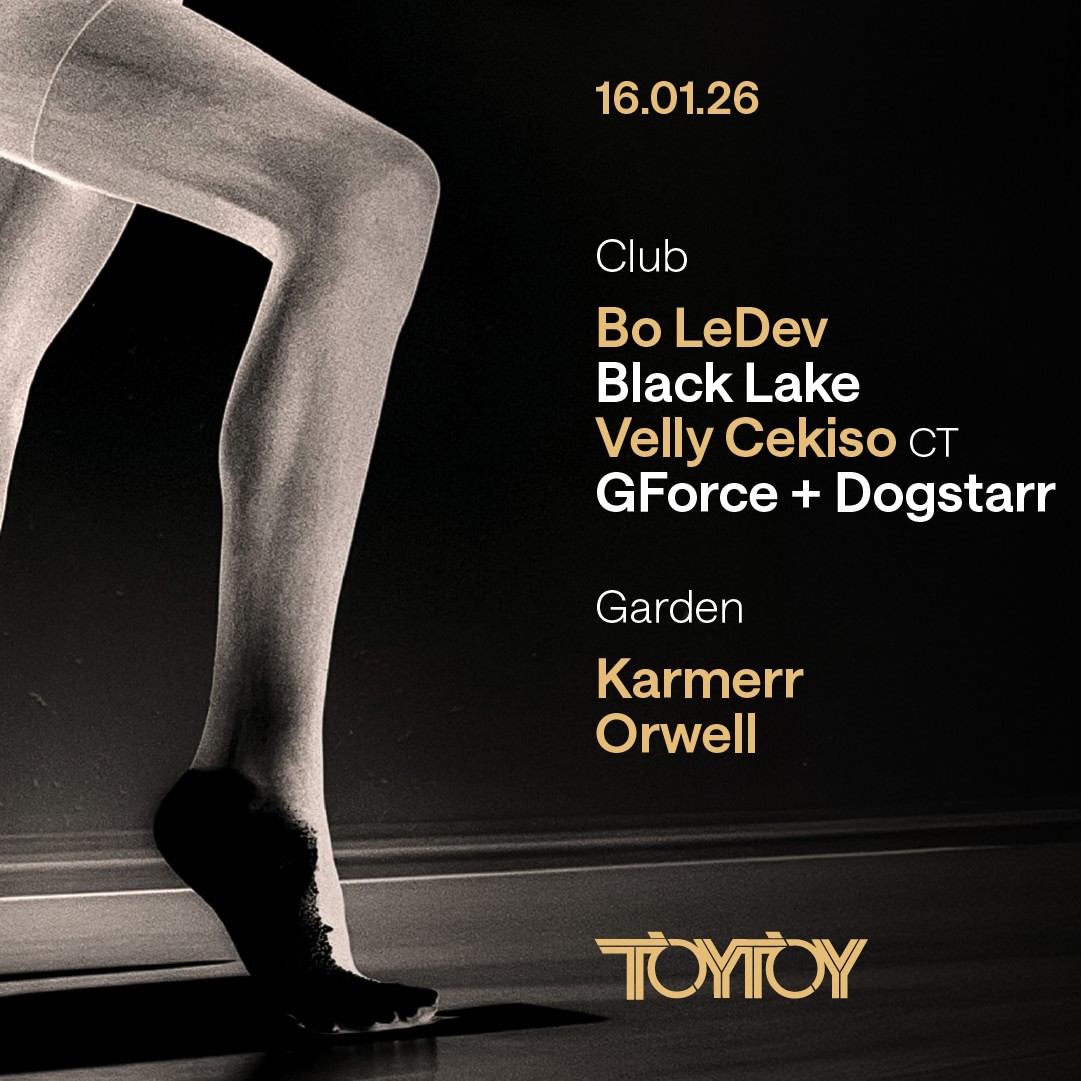 TOYTOY 16 January 2026 image