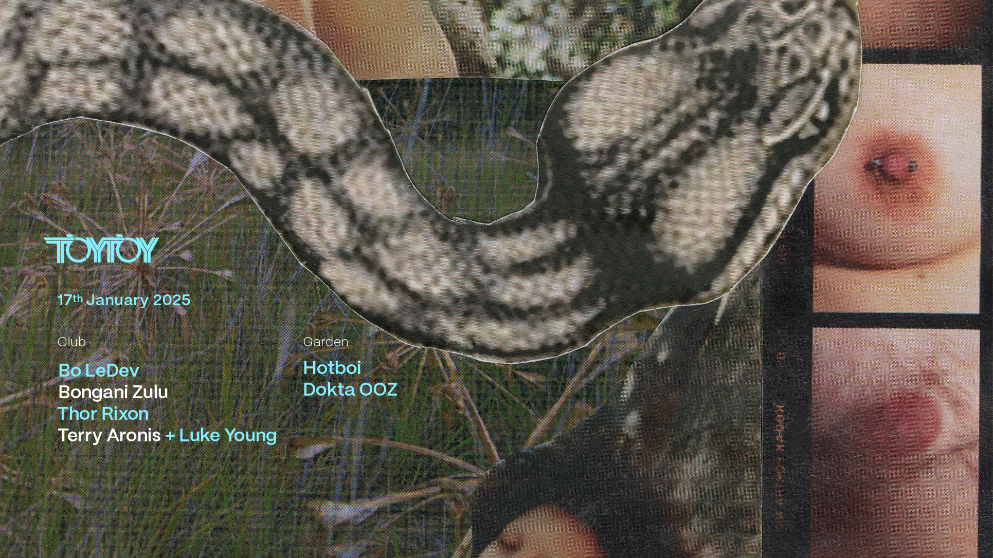 TOYTOY 17 January 2025 image