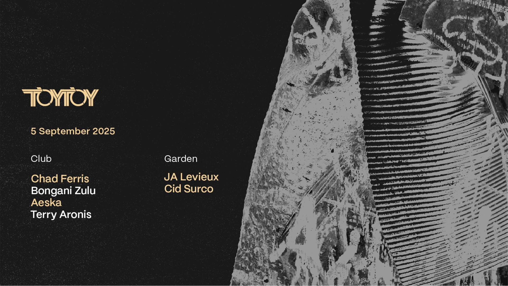 TOYTOY 5 September 2025 image