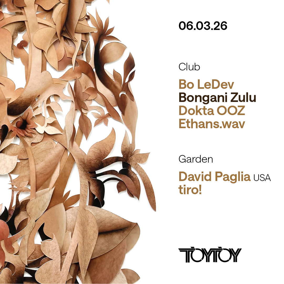 TOYTOY 6 March ft. David Paglia image