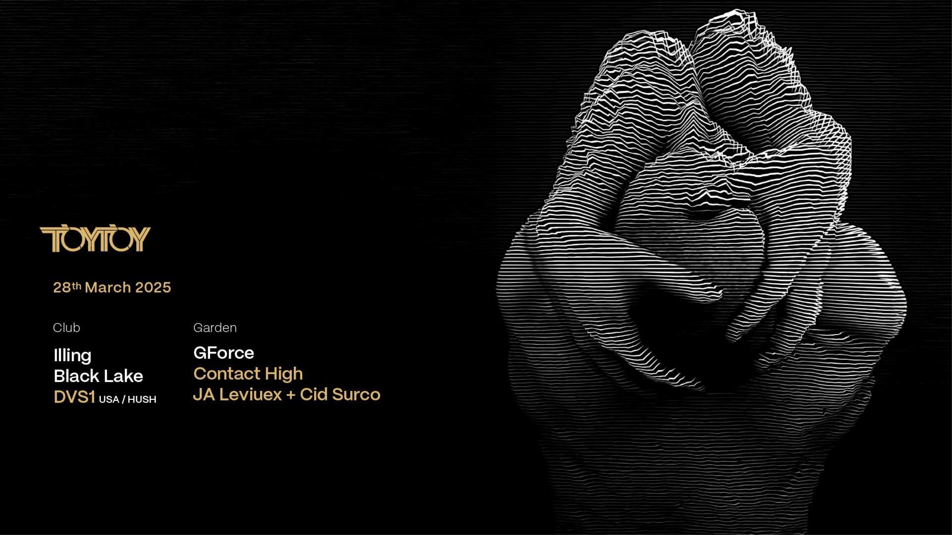 TOYTOY ft DVS1 image