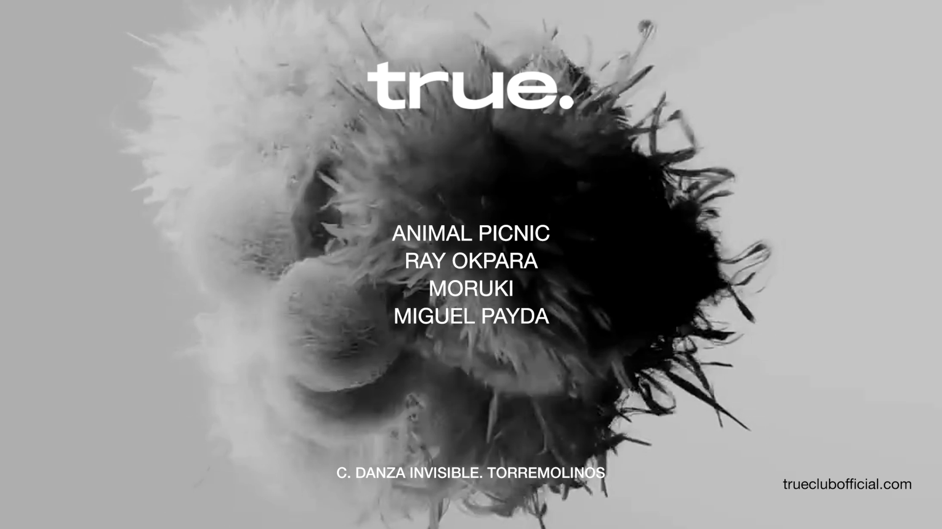 TRUE CLUB PRESENTA ANIMAL PICNIC, RAY OKPARA, MORUKI Y MIGUEL PAYDA image
