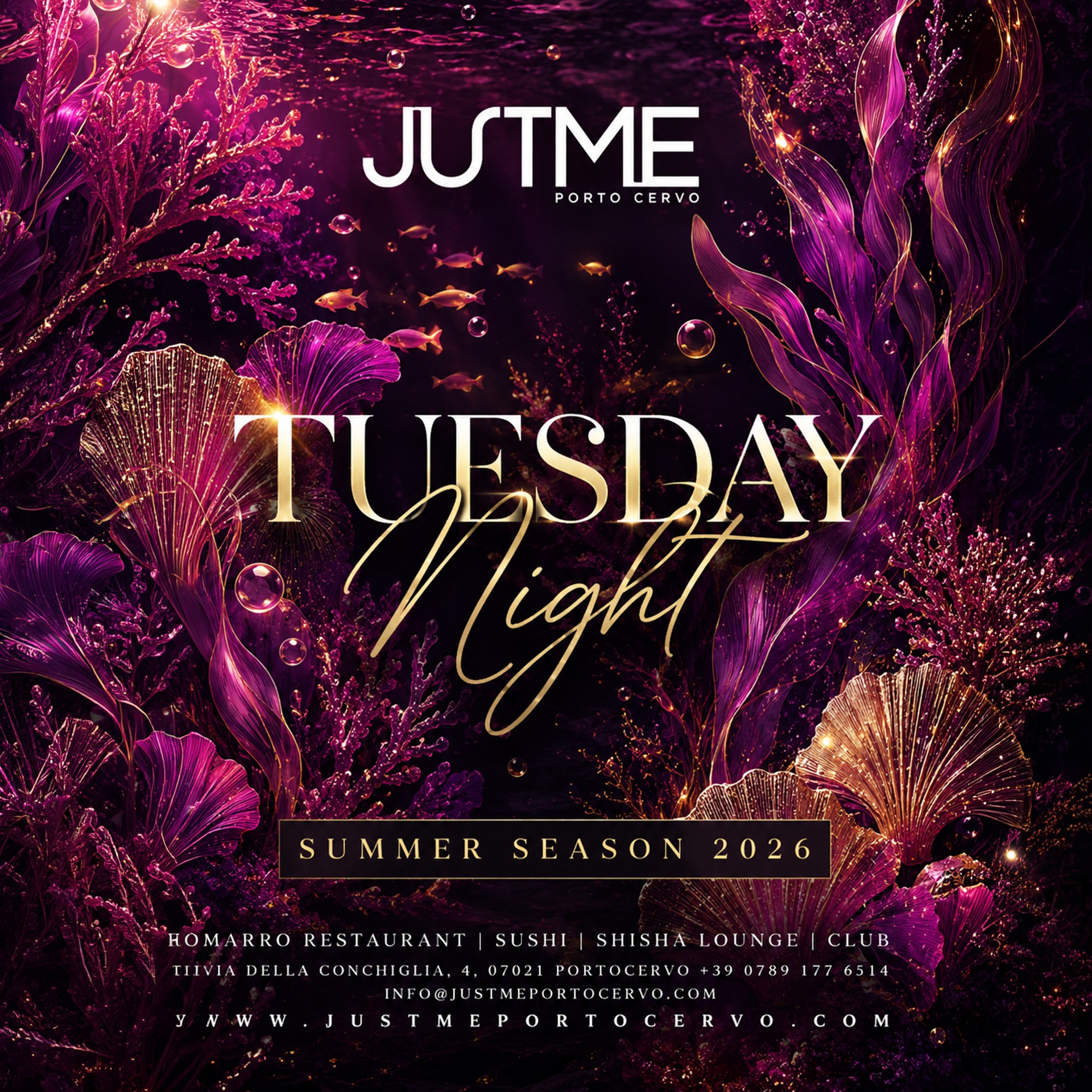 Tuesday Night