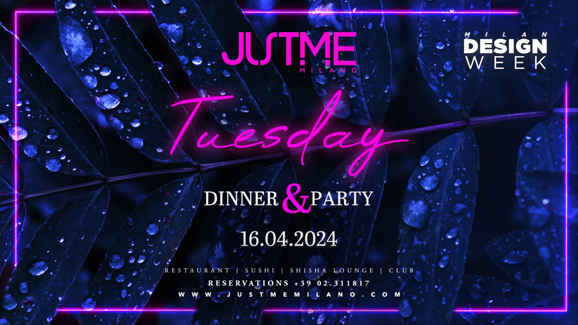 Tuesday Night - UE MDW 2024