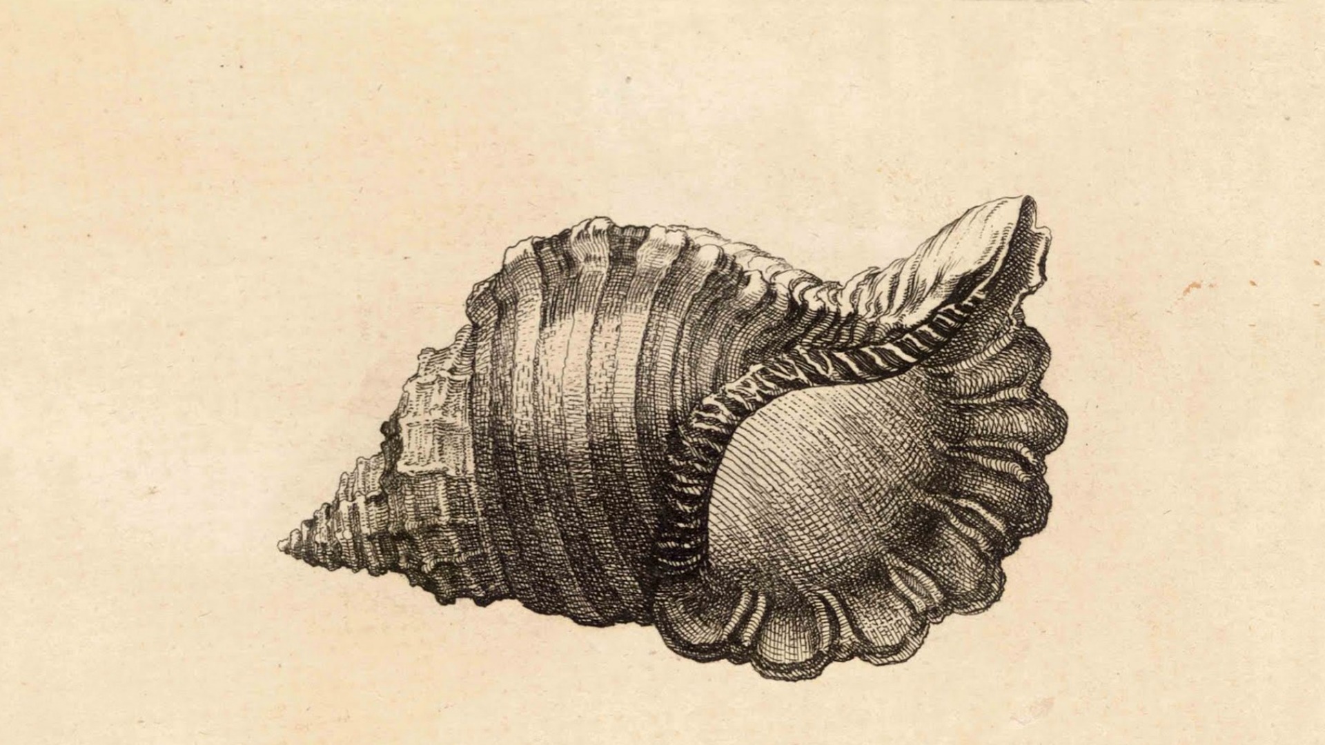 IN ASCOLTO by TUM c/o BUNKER