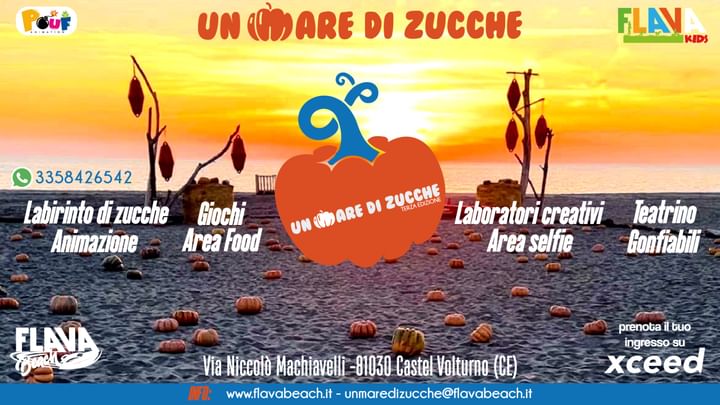 Cover for event: Un mare di zucche 1 novembre 2024