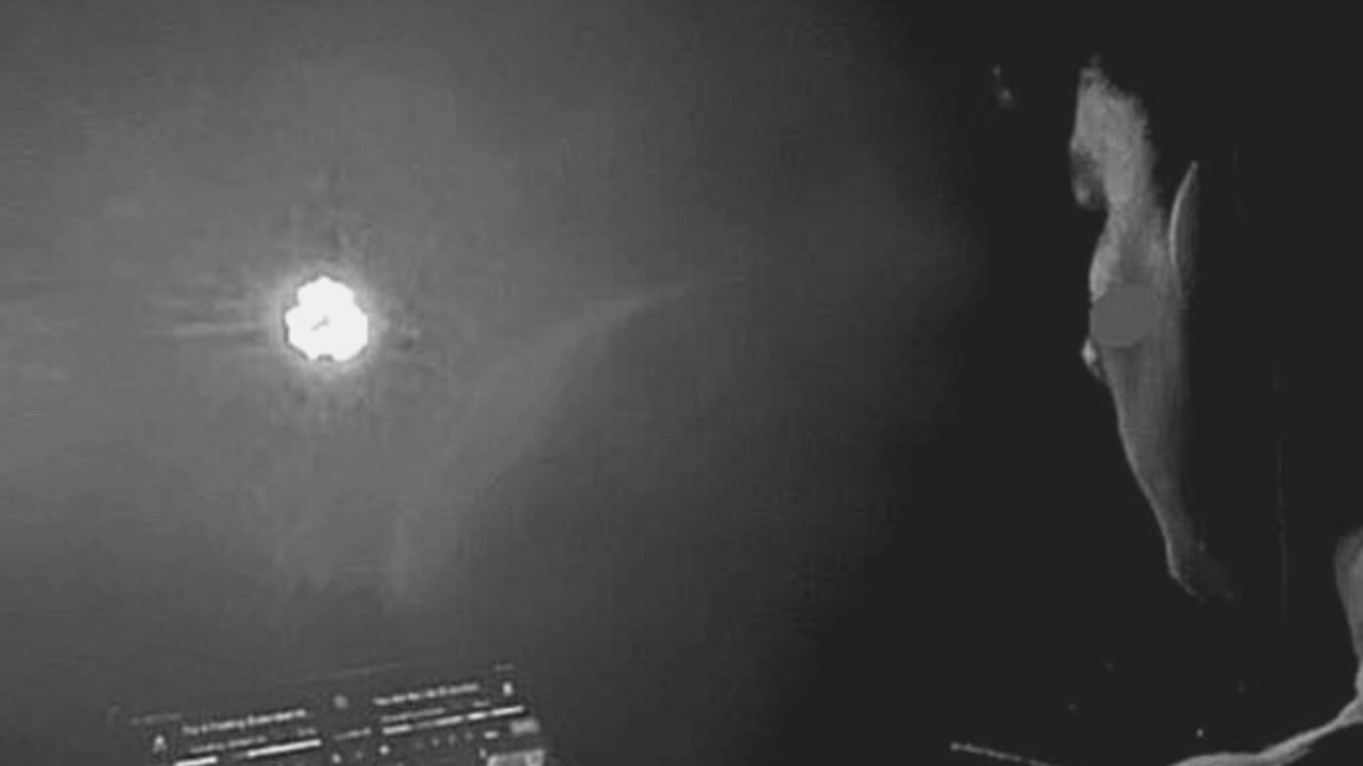 UPSIDEDOWN: BASTIAN VAY image