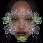 V06/03 LATEX LAB. W/ GRASA: BOLLERIA INDUSTRIAL + XHULOTEX PRE-FALLAS en LATEX image