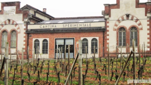 VEGLIA ENOLOGICA 2024