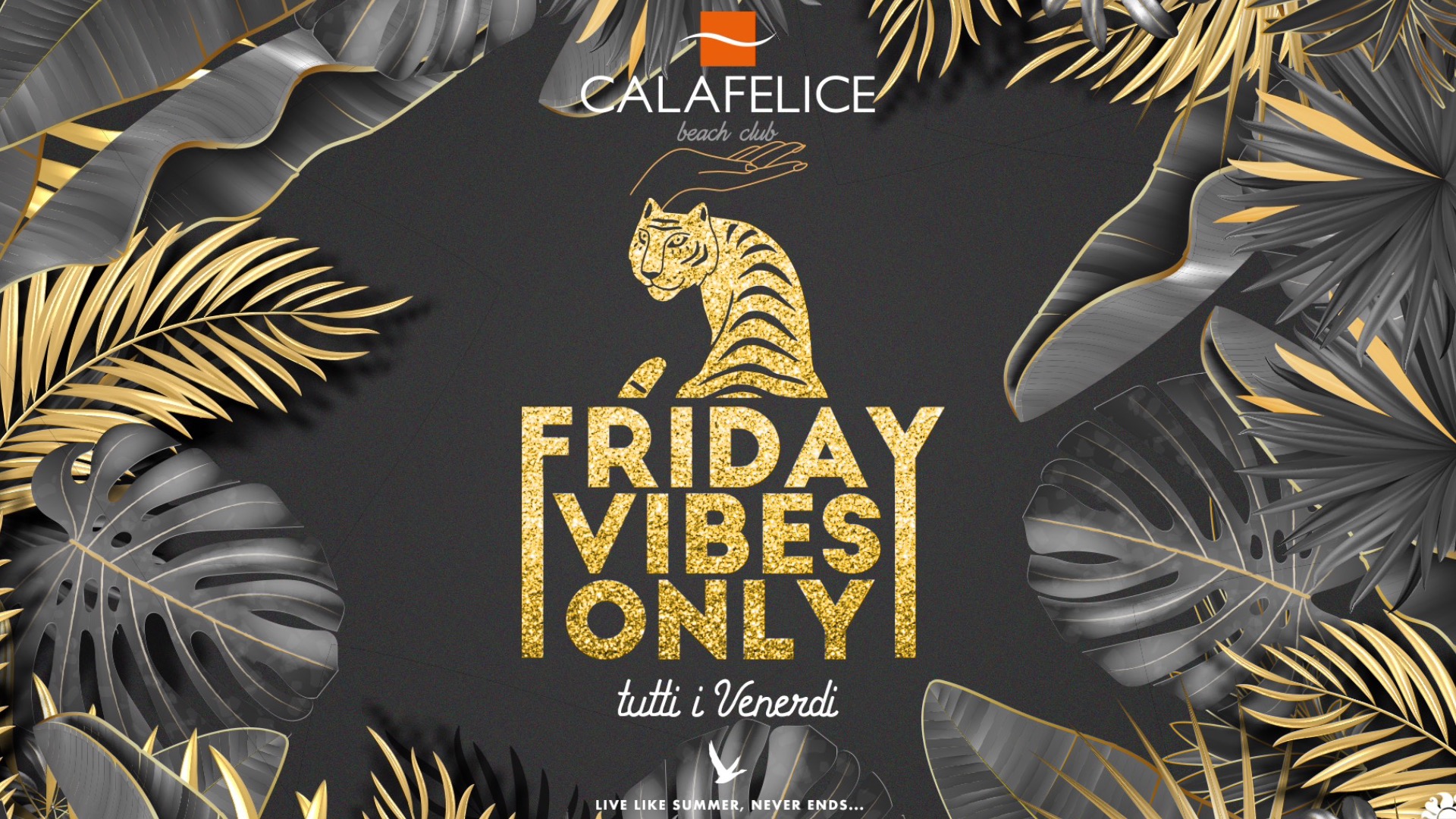 Venerdi "FRIDAY VIBES ONLY" Cala Felice image