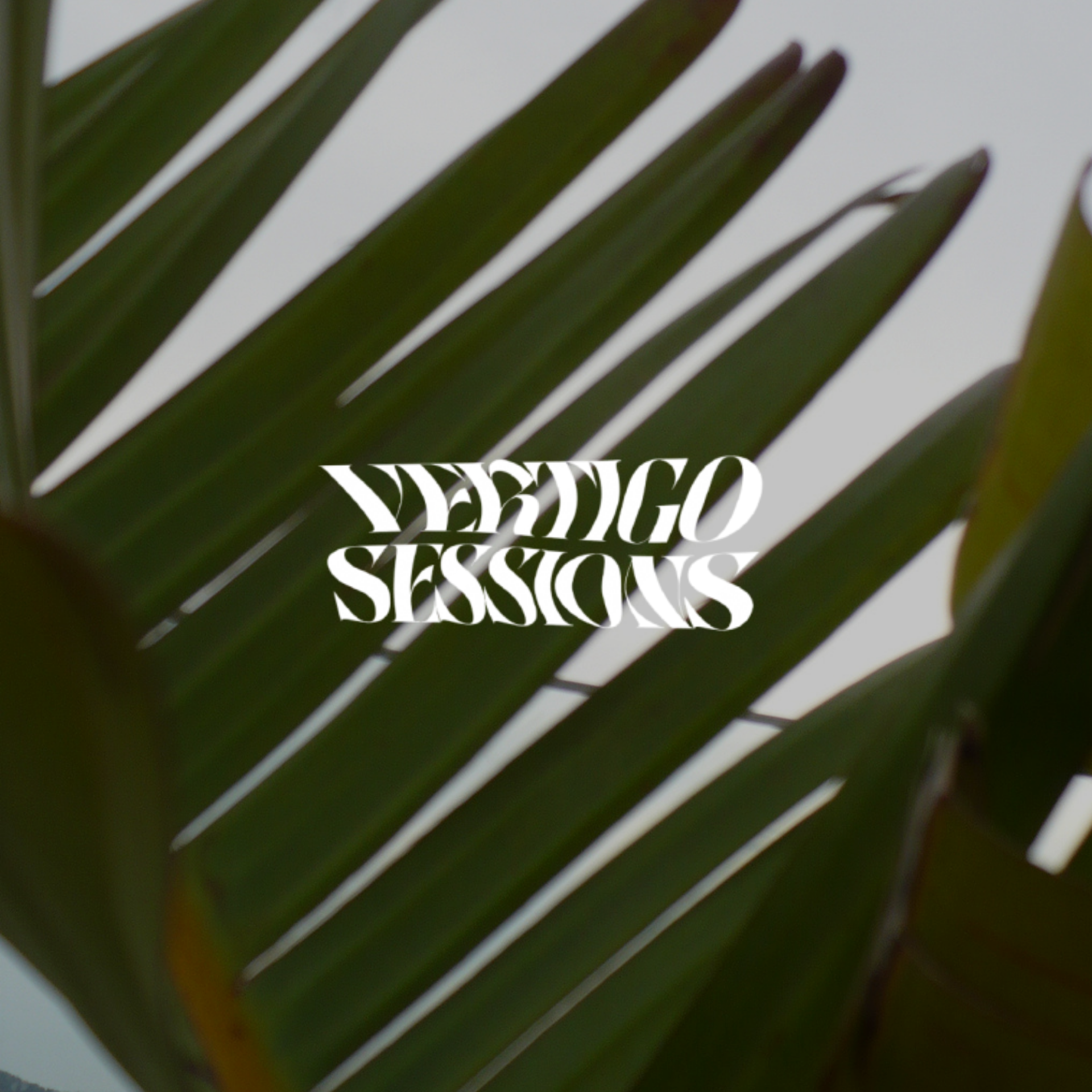 Vertigo Sessions
