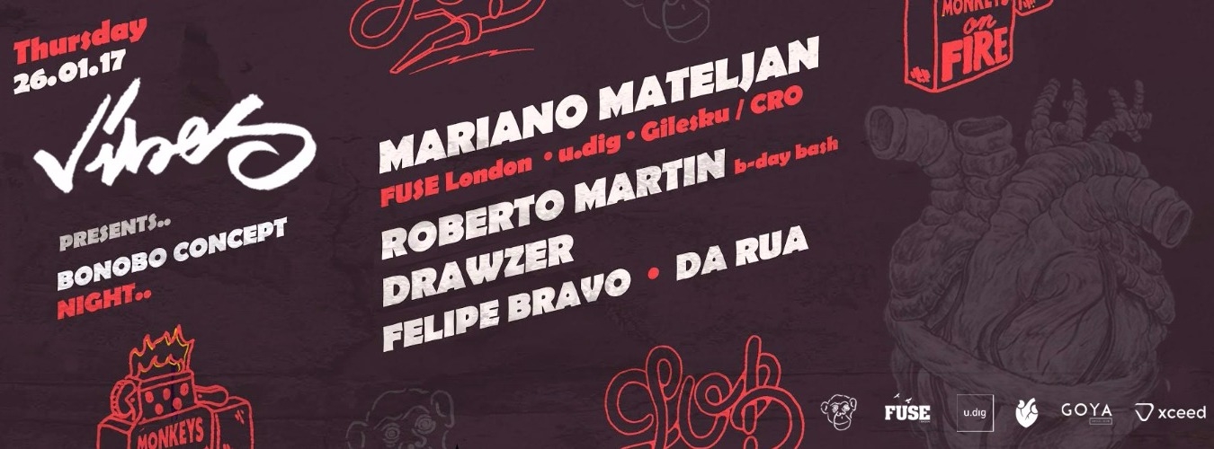 Vibes pres. Bonobo Concept Night image