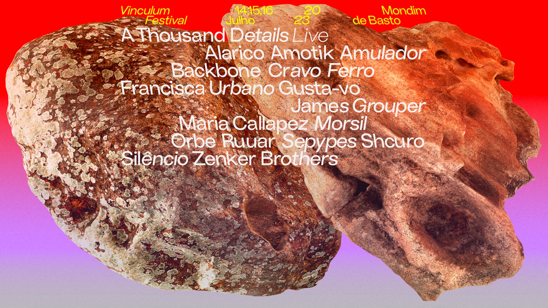 Vinculum Festival 2023 image