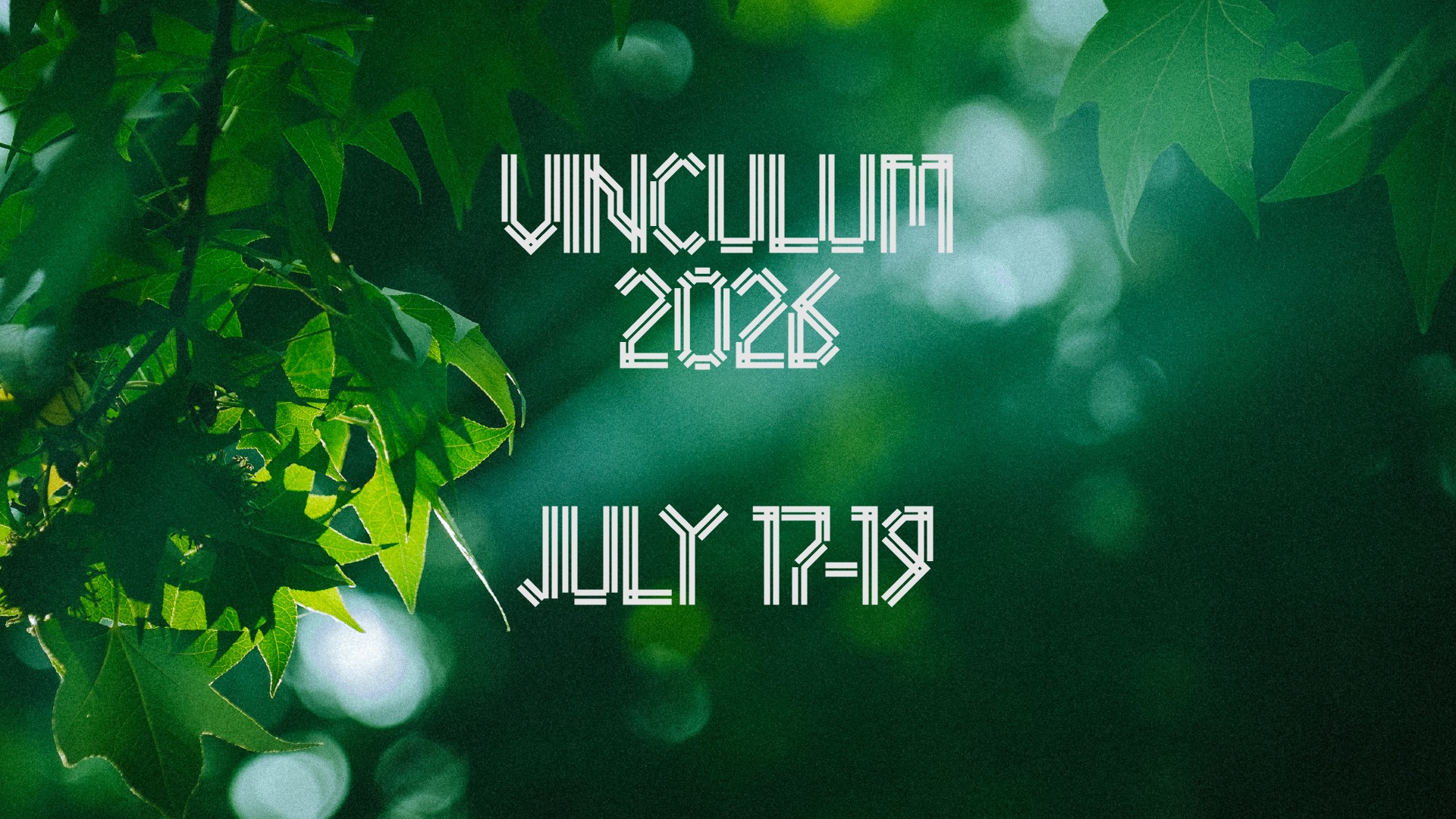 Vinculum Festival 2026 image