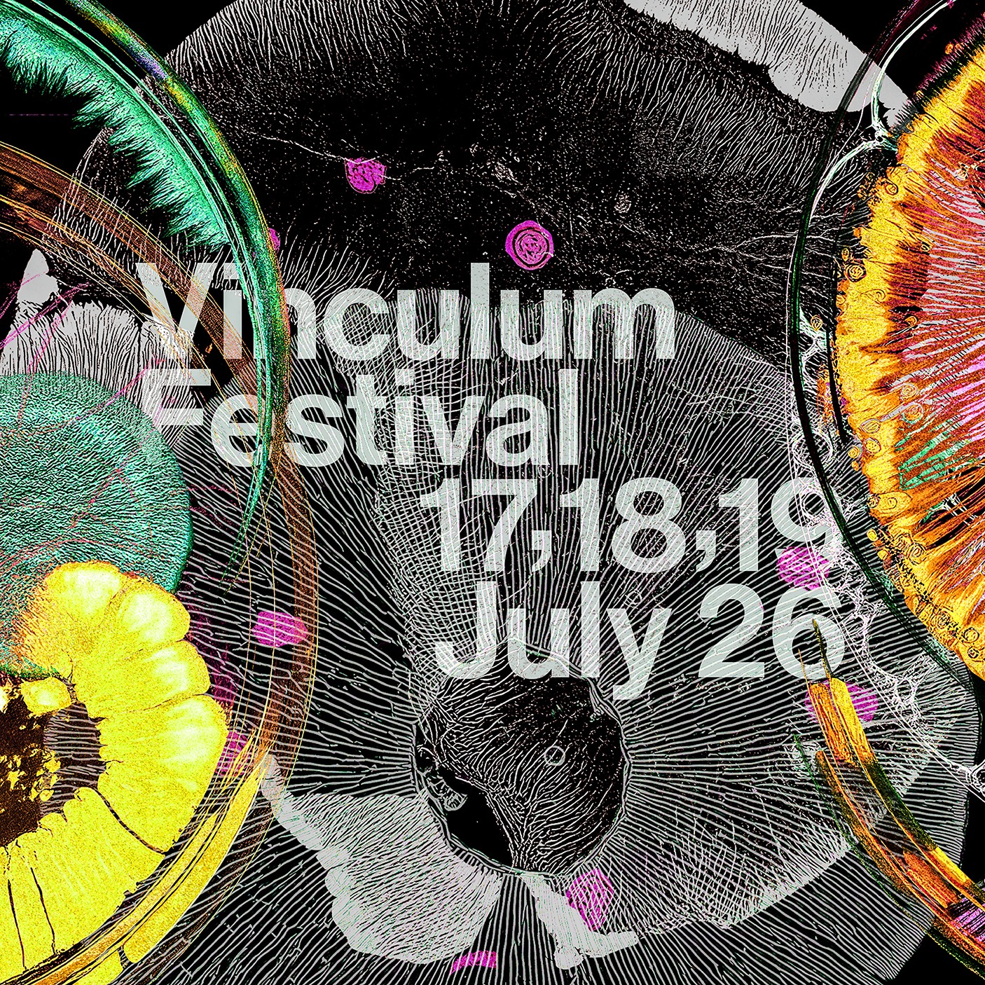 Vinculum Festival 2026 image