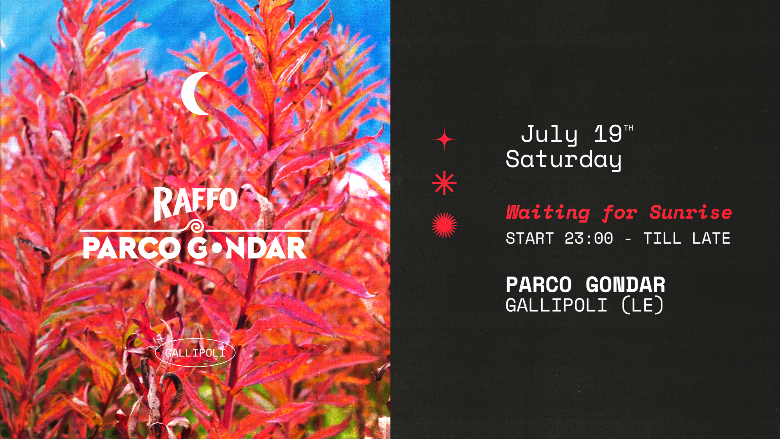 Waiting for Sunrise image