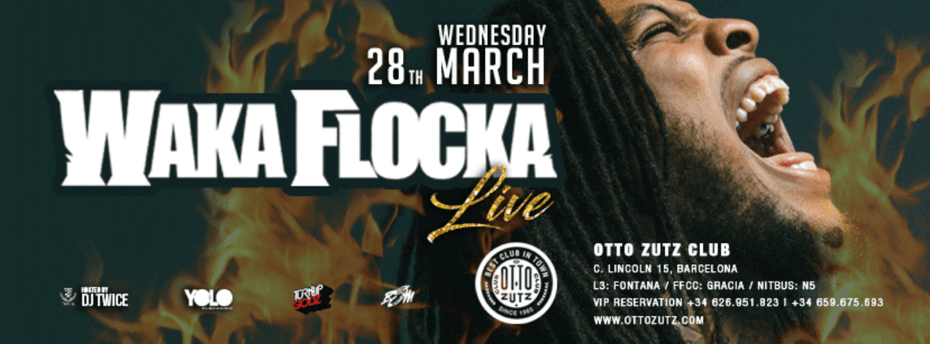 Waka Flocka Flame LIVE image