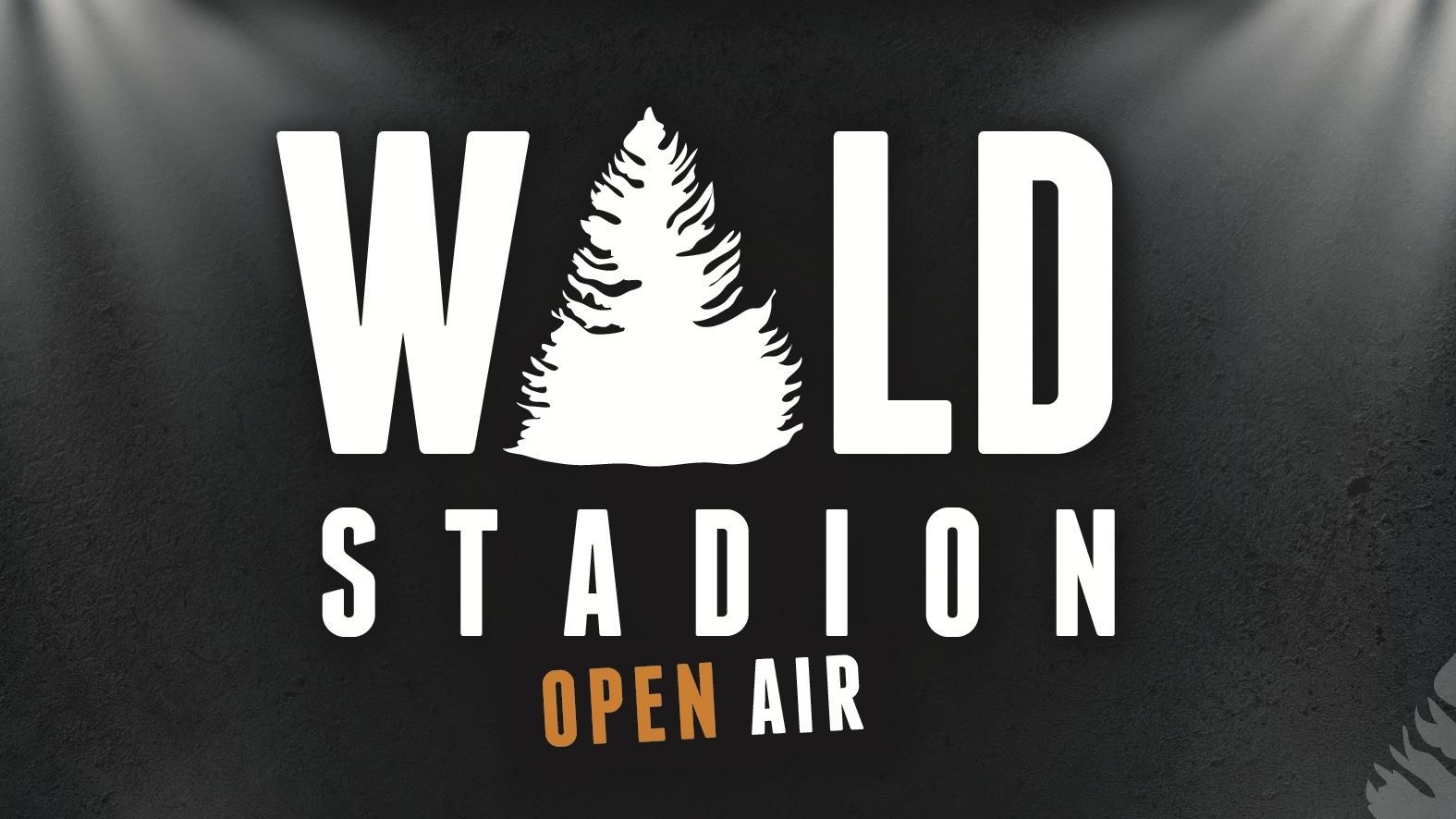 Waldstadion Open Air  image