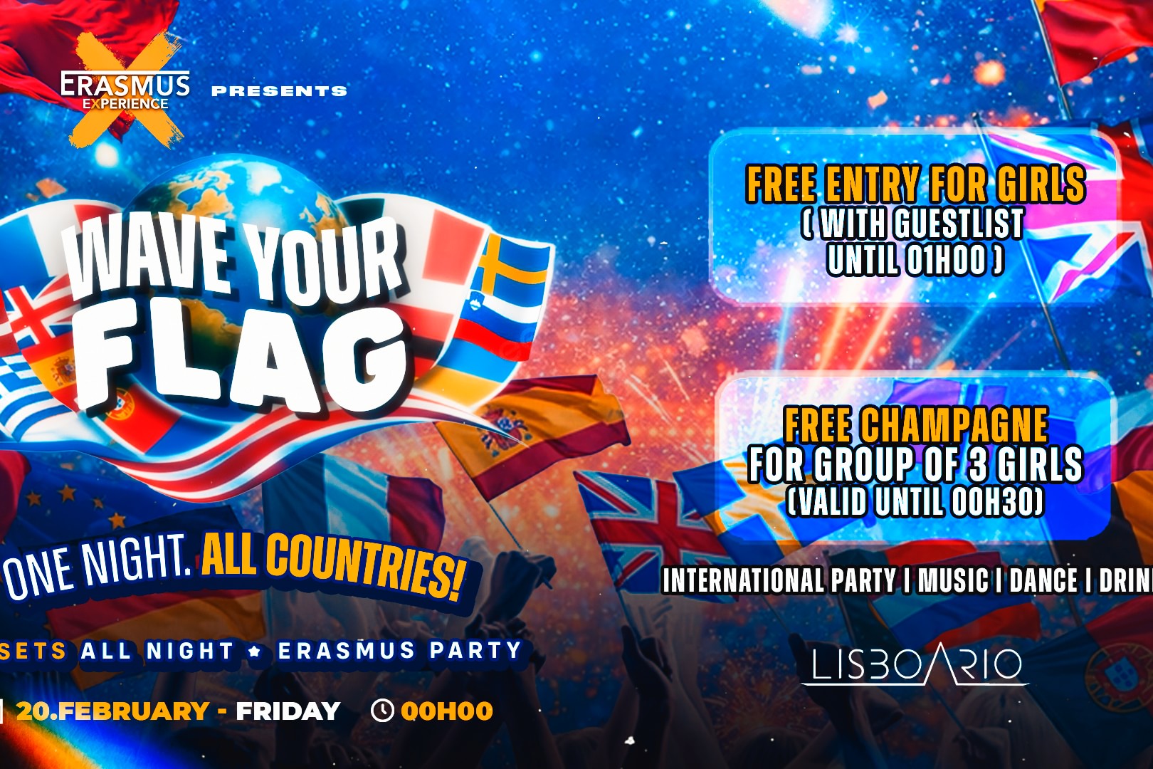 Wave Your Flag - Erasmus Party image